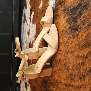 Nudes dress heels